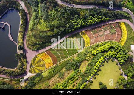 Chongqing City Park Stockfoto