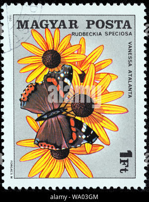 Red Admiral Vanessa atalanta, auffällige black-eyed Susan, Rudbeckia fulgida, Briefmarke, Ungarn, 1980 Stockfoto