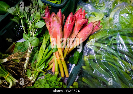 Banane Blumen für den Verkauf am lokalen, zentralen Food Market, Siti Khadijah, in Kota Bharu, Malaysia. in Kota Bharu, Malaysia. Stockfoto