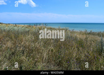 Die steilen Ufer des Meeres in der Steppe. Gras Landschaft in der Nähe der Marine in der Nähe Meer. Schöne Landschaft. Reisen Hintergrund. Stockfoto