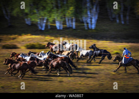 Sie in der Inneren Mongolei Stockfoto