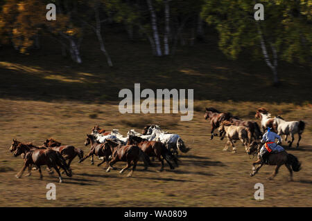 Sie in der Inneren Mongolei Stockfoto