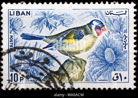 Europäische Stieglitz, Carduelis carduelis, Briefmarke, Libanon, 1965 Stockfoto