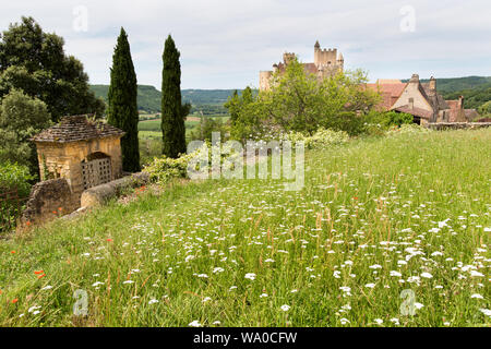 Dorf Beynac-et-Cazenac, Frankreich. Eine kleine wilde Blume Weide an der Spitze von Beynac, mit dem Chateau de Beynac im Hintergrund. Stockfoto