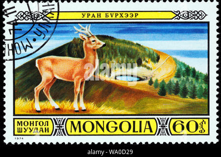 Rehe, Hyla arborea, Briefmarke, Mongolei, 1974 Stockfoto