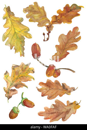 Aquarell von Hand gezeichneten Herbst eiche Blätter und Eicheln in grünen und gelben Farben. Design für Saison Dekor, Hintergrund und Textil. Stockfoto