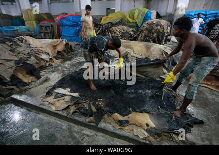 Dhaka, Bangladesch - August 16, 2019: Bangladesch Gerberei Arbeitnehmer Prozess rohe Leder innerhalb einer Fabrik an der Saver Gerberei in Dhaka, Bangladesh. Stockfoto