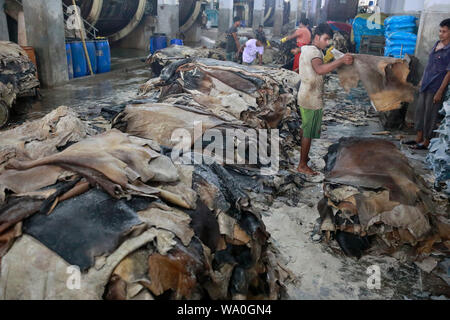 Dhaka, Bangladesch - August 16, 2019: Bangladesch Gerberei Arbeitnehmer Prozess rohe Leder innerhalb einer Fabrik an der Saver Gerberei in Dhaka, Bangladesh. Stockfoto