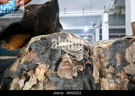 Dhaka, Bangladesch - August 16, 2019: Bangladesch Gerberei Arbeitnehmer Prozess rohe Leder innerhalb einer Fabrik an der Saver Gerberei in Dhaka, Bangladesh. Stockfoto