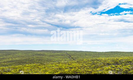 Endloses Buschland mit eukalyptusbäumen von Bunker Hill Lookout, Kangaroo Insel, South Australia gesehen Stockfoto