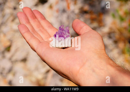 Druse von natürlichen unbehandelt violette Kristalle Amethyst auf ein Stück Felsen liegt auf der Hand Stockfoto