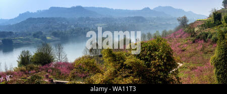 Chongqing Lai Strand Stadt Peach Blossom im Frühjahr öffnen Stockfoto