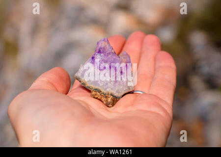 Druse von natürlichen unbehandelt violette Kristalle Amethyst auf ein Stück Felsen liegt auf der Hand Stockfoto