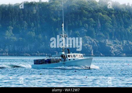 Eine weiße Lobster Boat mit Hummer fallen an der Rückseite des Bootes angehäuft, Köpfe heraus zum Meer fallen zu stellen. Eine der Porcupine Inseln mit ihren hohen Grün Stockfoto