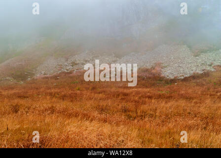 Hohe Gebirge Herbst Landschaft mit Alm, Stein Geröll und Felsen durch Cloud Dunst verborgen Stockfoto