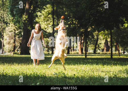 In voller Länge ansehen der schönen jungen Mädchen in weißem Kleid Suche im jumping Golden Retriever auf Wiese Stockfoto