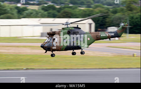 Armee de Terre, PUMA S 330 B bei der Royal International Air Tattoo 2019 Stockfoto