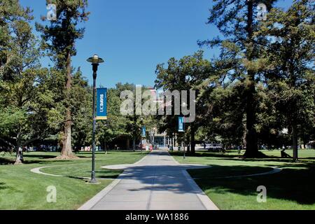 Der Quad, UC Davis, Davis, Kalifornien Stockfoto