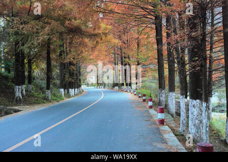 Shaanxi hanzhong dam Grafschaft Landstraße Stockfoto