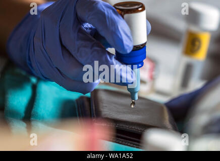 Polizei Spezialist untersucht Wallet DNA in einem Tatort zu sortieren, konzeptionelle Bild Stockfoto