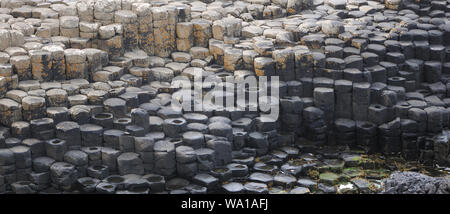 Polygonale Basaltsäulen Giant's Causeway. Bushmills, County Antrim, Nordirland, Großbritannien. Stockfoto