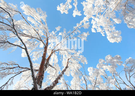 Sunrise graben NingShan County in Shaanxi qinling Schnee Stockfoto