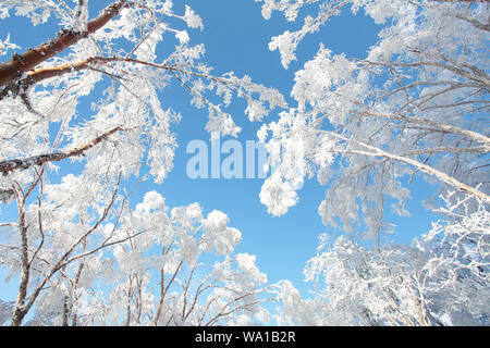 Sunrise graben NingShan County in Shaanxi qinling Schnee Stockfoto