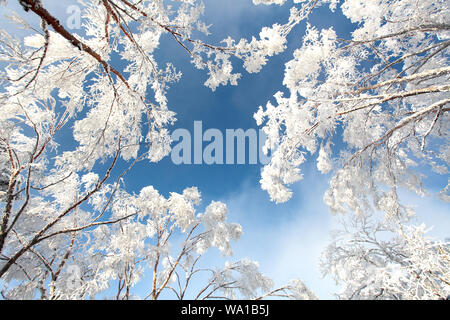 Sunrise graben NingShan County in Shaanxi qinling Schnee Stockfoto