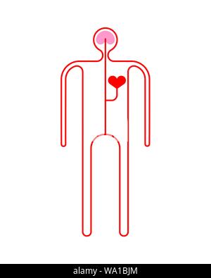 Menschlichen Kreislaufsystem Cartoon. Körper Anatomie. Vector Illustration Stock Vektor