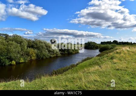 Der Fluss Swale in der Nähe von Cundall in North Yorkshire. Stockfoto