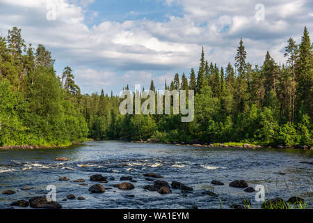 Kiefernwald und Fluss im Oulanka Nationalpark in Nordfinnland Stockfoto