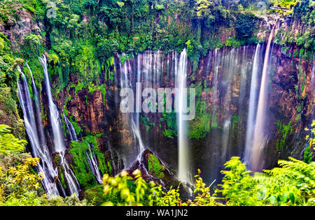 Tumpak Sewu Wasserfälle in Ostjava, Indonesien Stockfoto