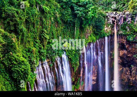 Tumpak Sewu Wasserfälle in Ostjava, Indonesien Stockfoto