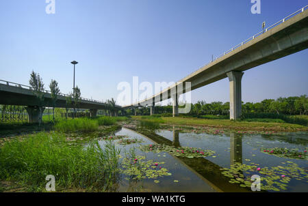 Tianjin-Chen Tai Brücke Stockfoto