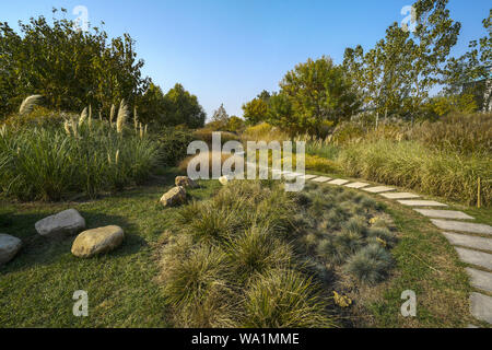 Der goldene Herbst Stockfoto