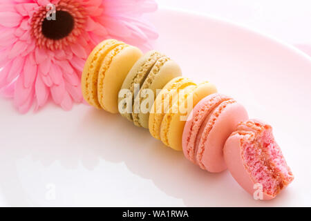 Französische süße Leckerei Makronen Vielzahl bunt und verschiedene süße Macarons auf weiße Platte mit rosa Blume auf weißem Hintergrund mit Stockfoto