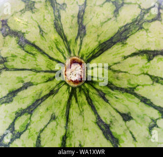 Abstrakte Muster der Wassermelone, gestreifte Kruste der Wassermelone für Textur Hintergrund. Stockfoto