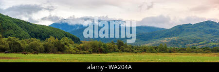 Ländliche Panorama in die Berge in der Morgendämmerung. landwirtschaftliche Felder im frühen Herbst. trübes Regenwetter. Traditionelle karpatische Landschaft Stockfoto