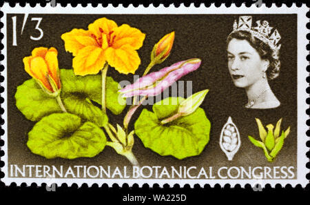 Nymphoides peltata, eingesäumt Seerose, Internationalen botanischen Kongress, Briefmarke, UK, 1964 Stockfoto