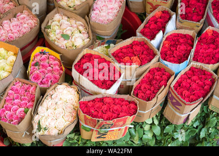 Ho Chi Minh City, Vietnam - 12. April 2019: die Trauben der roten und rosa Rosen im Karton bei Ho Thi Ky Blumenmarkt verpackt. Stockfoto