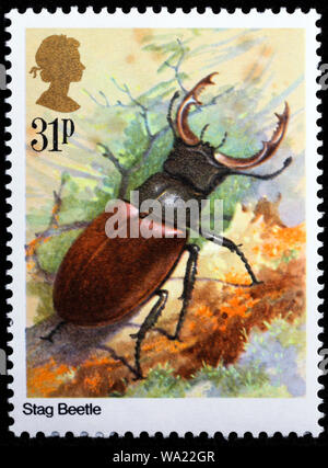 Lucanus cervus, Hirschkäfer, Insekt, Briefmarke, UK, 1985 Stockfoto