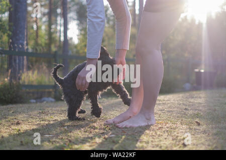 Mädchen spielen mit kleinen Hund im Hof an einem sonnigen Sommertag. Stockfoto