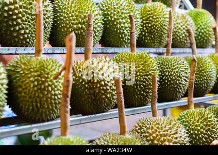 Reihen von durians in den Regalen einer Straße shop in Yaowarat Road, Bangkok, Thailand. Eine Nahaufnahme. Stockfoto