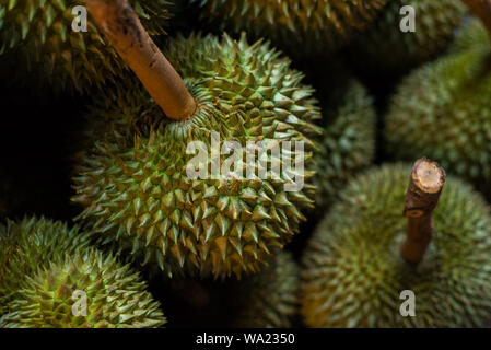 Durian Frucht, eine Nahaufnahme mit einem schönen unscharfen Hintergrund (geringe Tiefenschärfe). In der Nacht Markt in Yaowarat Road, Chinatown, Bangkok, Thailand. Stockfoto