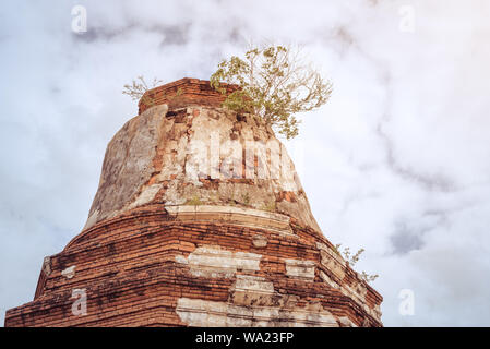 Ruiniert buddhistische Stupa mit einem lebenden Baum auf der Oberseite vor dem dramatischen Himmel. Ein antiker Tempel in Thailand - Wat Thammicarat, Ayutthaya. Stockfoto