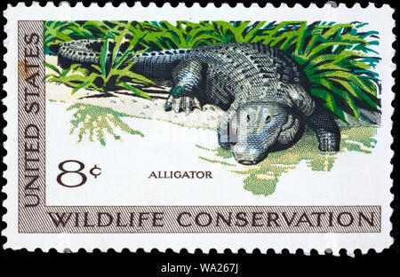 Alligator mississippiensis American Alligator, Gator, Artenschutz, Briefmarke, USA, 1971 Stockfoto