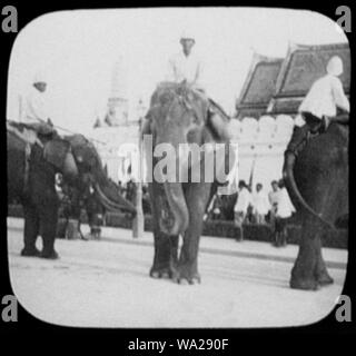 Bangkok - 3 Männer auf 3 die Heilige weiße Elefanten; palace Wand im Hintergrund Stockfoto