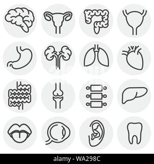 Menschliche Organe ähnliche Symbole auf dem Hintergrund für Grafik- und Webdesign. Einfache Abbildung. Internet Konzept Symbol für Website Taste oder mobile App Stock Vektor