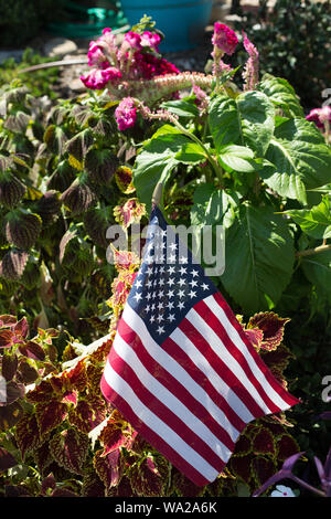 Eine amerikanische Flagge unter Pflanzen und Blumen am Veterans Memorial Garden in Branson, Missouri, USA. Stockfoto