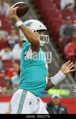 Tampa, Florida, USA. 16 Aug, 2019. August 16, 2019: Miami Dolphins Quarterback Josh Rosen (3) wirft den Ball während der NFL preseason Spiel zwischen den Miami Dolphins und die Tampa Bay Buccaneers bei Raymond James Stadium in Tampa, Florida statt. Andrew J. Kramer/Cal Sport Media Credit: Cal Sport Media/Alamy leben Nachrichten Stockfoto